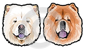 Chow Chow dog portrait vector illustration