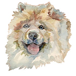 The Chow Chow Dog, watercolor hand painted dog portrait