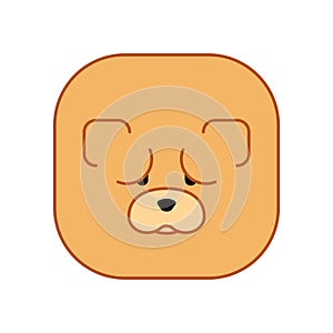 Chow Chow face. Dog head. Vector illustration