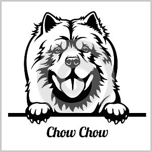 Chow Chow - Peeking Dogs - breed face head isolated on white