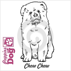 Chow Chow puppy sitting. Drawing by hand, sketch. Engraving style, black and white vector image.