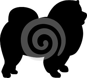 Chow-chow silhouette black