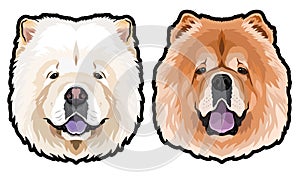 Chow Chow dog portrait vector illustration photo