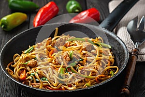 Chow mein with chicken, Chinese dish.