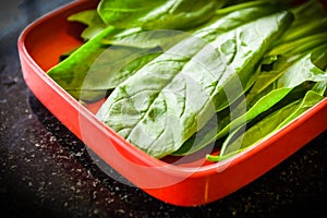 Choy Prepared for Cooking