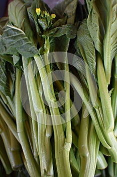 Choy Sum, from the Cantonese word `Heart of the Vegitable.