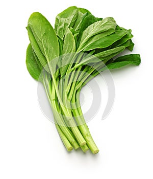 Choy sum, chinese vegetable