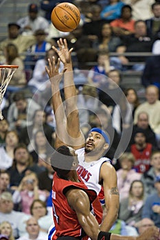 Chris Bosh Guards Rasheed Wallace
