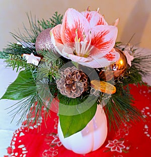 Chrismas Flowers photo