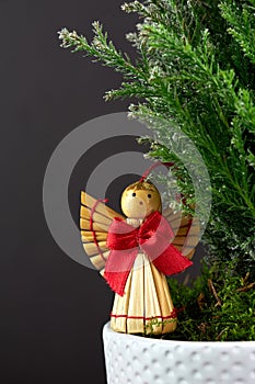 Chrismas tree with small woodden angel under