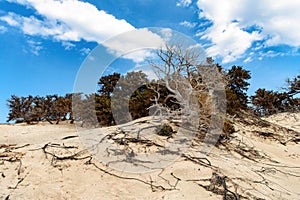 Chrissi Chrysi island landscape