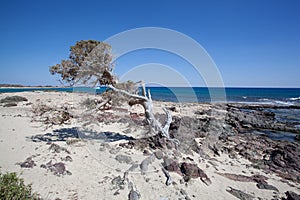 Chrissi island in Crete