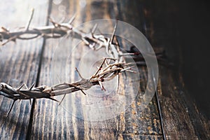 Christ Bloody Crown of Thorns