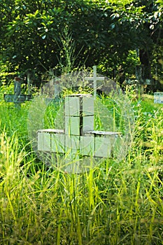 The Christ Cemetery in Thailand