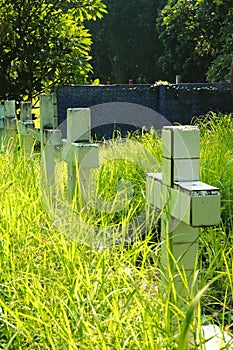 The Christ Cemetery in Thailand