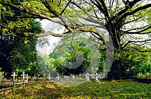 The Christ Cemetery in Thailand