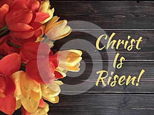 Christ is Risen photo