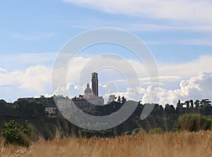 Christian basilica atop Mount called Monte Berico with wheat fie photo