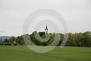 Christian church hidden by trees in the field. New spring shoots on the trees