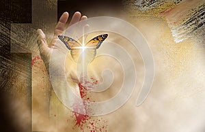 Christian cross with hand setting delicate reborn butterfly free photo