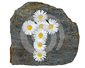 Christian cross made of yellow white daisy flowers on a gray slate plate