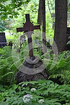 Christian cross in wild thickets of green vegetation in the old cemetery