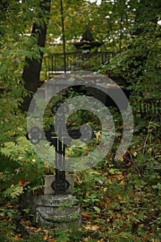 Christian cross in wild thickets of green vegetation in the old cemetery