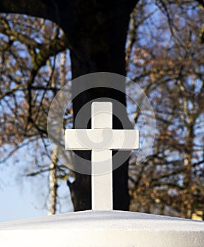 Christian graveyard cross with a tree behind