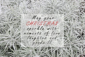 Inspirational quote - May your Christmas sparkle of love, laughter and goodwill. photo