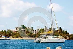 Christiansted catamaran tour around sr croix island