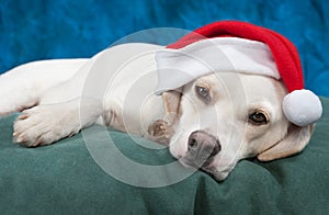 Is It Christmas Yet?