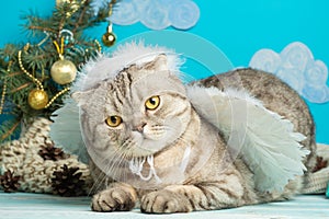 Christmas angel is a cute cat, with wings on the background of a decorated Christmas tree. New Year and Happy Christmas