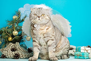 Christmas angel is a cute cat, with wings on the background of a decorated Christmas tree. New Year and Happy Christmas