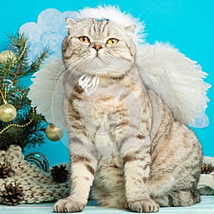 Christmas angel is a cute cat, with wings on the background of a decorated Christmas tree. New Year and Happy Christmas