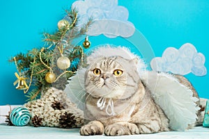 Christmas angel is a cute cat, with wings on the background of a decorated Christmas tree. New Year and Happy Christmas