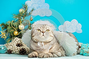 Christmas angel is a cute cat, with wings on the background of a decorated Christmas tree. New Year and Happy Christmas