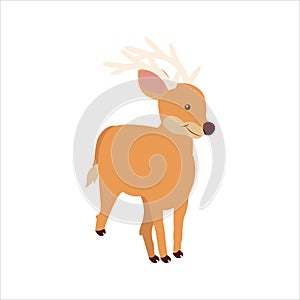 Christmas animal cartoon deer clip art illustration