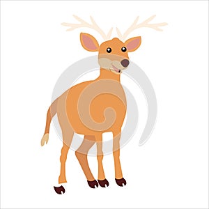 Christmas animal cartoon deer clip art illustration