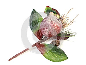 Christmas apple decoration