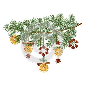 Christmas aroma garland. A spruce branch is decorated with dried oranges, rosemary and anise. Cozy home decor.