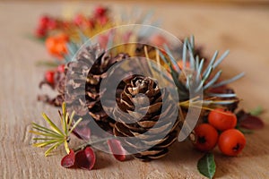 Christmas arrangement with berries and fir cones