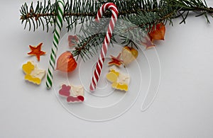 Christmas arrangement of fir branches, candy cane and gumdrop gobies. Concept of new year holidays. The view from the top, place