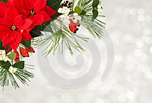 Christmas arrangement with poinsettia flowers, green spruce twigs and berries on holiday background