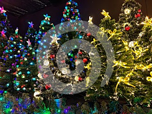 Christmas atmosphere: a group of colored christmas tree at night