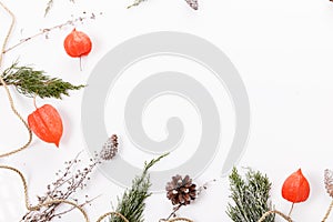 Christmas or autumn composition. Thuja twigs, cones in the snow, physalis Top view, flat lay, copy space