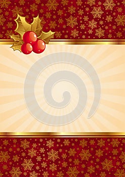 Christmas background with berries