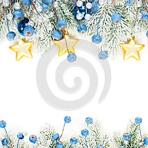 Christmas background border composition isolated on white. Xmas card with snowy Xmas tree twig, blue berries and golden stars