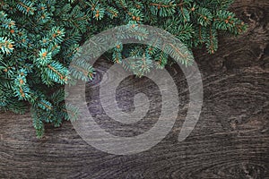 Christmas background with border of fluffy green fir branches on a textured dark brown wood