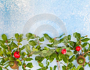 Christmas background border with holly leaves and berries