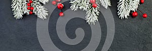 Christmas background border made of fir tree branches and red berries on black background